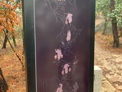 -南京市无想山景区