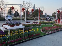 -荷兰花海