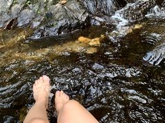 -梧桐山风景名胜区