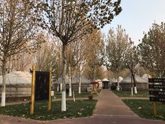 -九十九顶毡房(阜石路店)