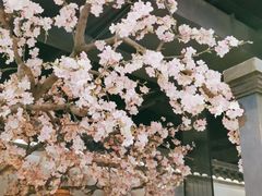 -上海第一八佰伴