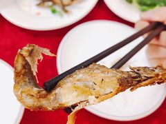 -蛇口康乐快餐鱼仔档(翠苑小区店)