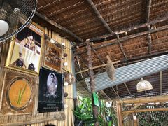 -Jungle Kitchen