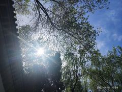 -团结湖公园