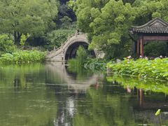 -南园(太仓市)