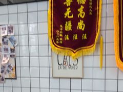 -半岛宠物医院24小时(科华中路店)