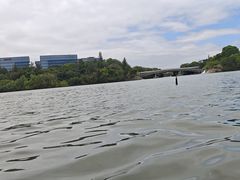 -华侨城湿地公园