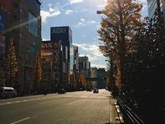 -秋叶原电器街