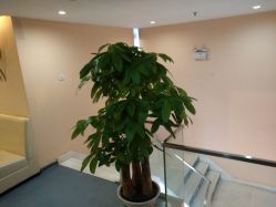 点击看大图 -深圳美莱医疗美容医院