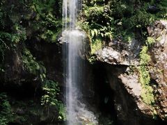 -龙苍沟森林公园