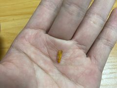 -锅圈食汇火锅烧烤食材超市(民丰家园店)