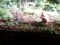 -万达影城(潍坊万达广场IMAX店)