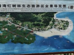 -北海金海湾红树林生态旅游区