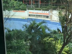 -金港健身游泳(水围店)