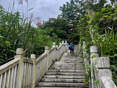 -牛岗山公园
