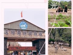 -沈阳森林动物园