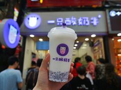 -一只酸奶牛(八一路店)