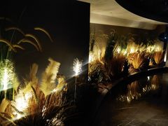 -碧涛阁·泡泡海洋·汤泉洗浴(王府花园店)