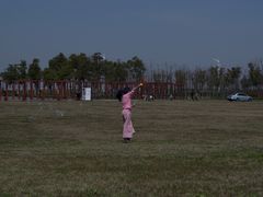 -春花秋色城市公园