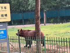 -秦皇岛野生动物园