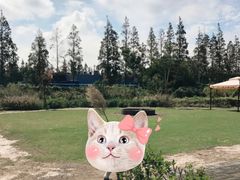 -前小桔亲子创意农场·草莓采摘·露营烧烤