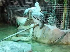 -zoonana室内动物园(东方福来德店)
