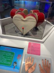 -北京科学中心儿童乐园