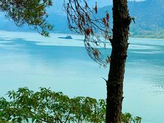 -羚羊峡古栈道森林公园