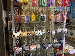 -猫咪博物馆(顶澳仔猫街店)