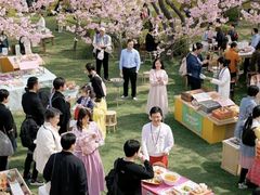 -高东镇樱花园