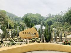 -深圳仙湖植物园