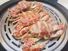 -欢乐海岸美食联盟
