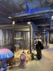 -酷嗒动物文化乐园(cutezoo西溪乐天城店)