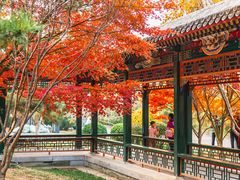-北京明城墙遗址公园