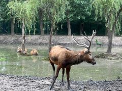 -溱湖国家湿地公园