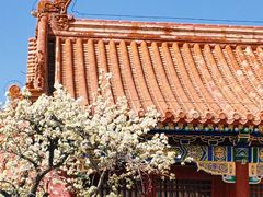 -故宫博物院(故宫)