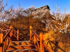 -大岭沟猕猴桃谷风景区