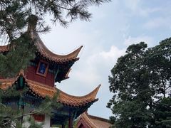 -戏马台景区