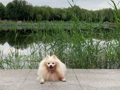-素心小筑(后沙裕镇店)