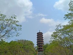 -红花山公园