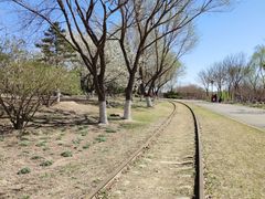 -永定河休闲森林公园