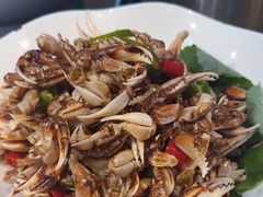 -77号·蒸海鲜青岛菜(积米崖店)