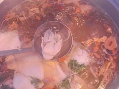 -千岛蚝高压锅生蚝·人参火锅(白云万达店)