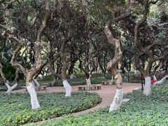 -黄埔荔枝公园
