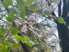 -木塔寺遗址生态公园