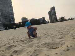 -黄金海岸