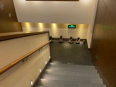 -食神鱼头佛跳墙(百子湾旗舰店)