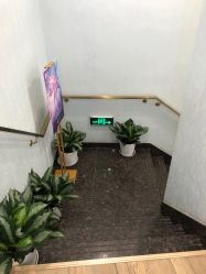 -YESIDO椰岛美容