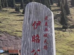-俭寨大盘鸡·手抓肉·烧烤新疆菜(乌苏路店)