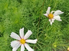-清风小镇闯关东影视基地